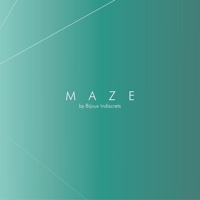 Bijoux Indiscrets MAZE - тонке намисто з кільцем та батогом, чорний, з веганської шкіри - BDSM bondage, сексуальний аксесуар