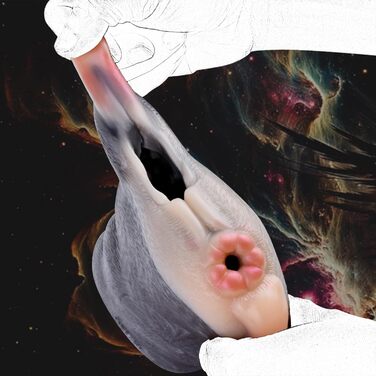 Реалістичний мастурбатор Seckoe Tier Taschenmuschi для чоловіків, з анімальною вагіною та анальним тунелем